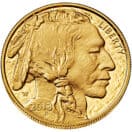 American Buffalo Gold 1oz Coin.