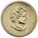 Gold Canadian polar bear quarter ounce gold coin obverse 2013