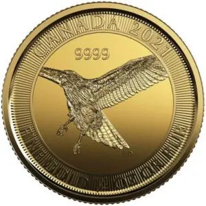gold Canadian red-tailed hawk quarter ounce bullion gold coin reverse